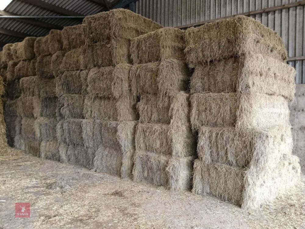 44 SQUARE BALES OF 2024 HAY - BIDS PER BALE