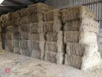 44 SQUARE BALES OF 2024 HAY - BIDS PER BALE