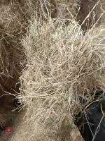 44 SQUARE BALES OF 2024 HAY - BIDS PER BALE - 3
