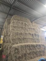 50 MINI HESTON BALES OF 2025 HAY - BIDS PER BALE