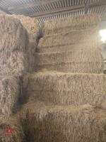 50 MINI HESTON BALES OF 2025 HAY - BIDS PER BALE - 2