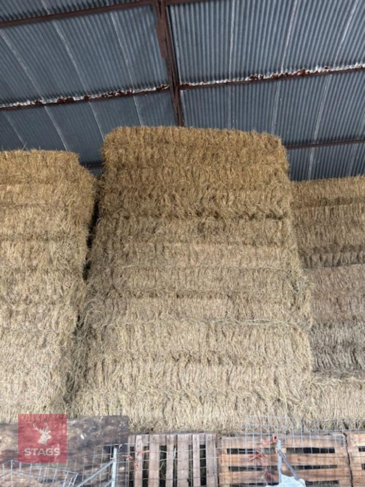 20 X 4 STRING BALES OF 2025 HAY - BIDS PER BALE