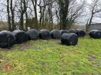 10 ROUND BALES OF 2025 SILAGE - BIDS PER BALE - 2