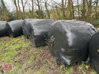 10 ROUND BALES OF 2025 SILAGE - BIDS PER BALE - 3