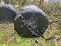 10 ROUND BALES OF 2025 SILAGE - BIDS PER BALE - 4
