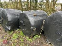 10 ROUND BALES OF 2025 SILAGE - BIDS PER BALE - 7