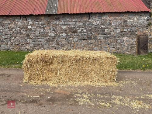 35 SQUARE BALES OF 2025 WHEAT STRAW - BIDS PER BALE