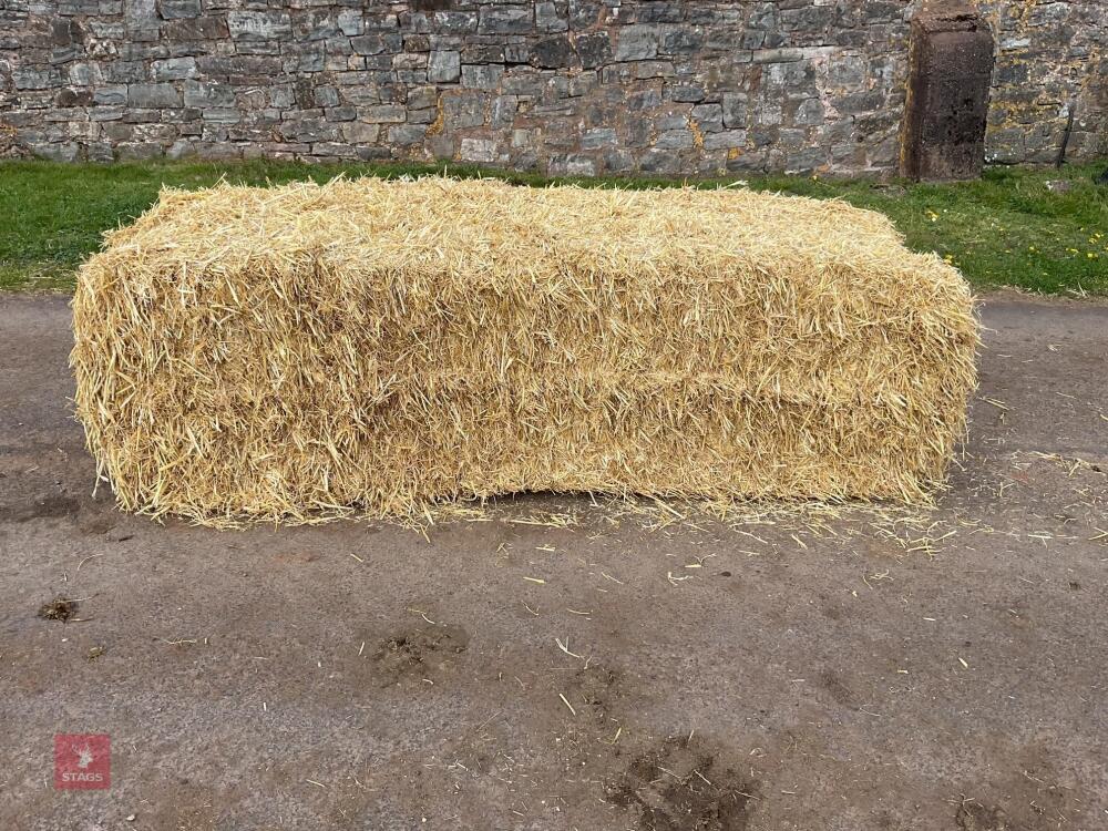35 SQUARE BALES OF 2025 BARLEY STRAW - BIDS PER BALE