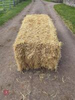 35 SQUARE BALES OF 2025 BARLEY STRAW - BIDS PER BALE - 2