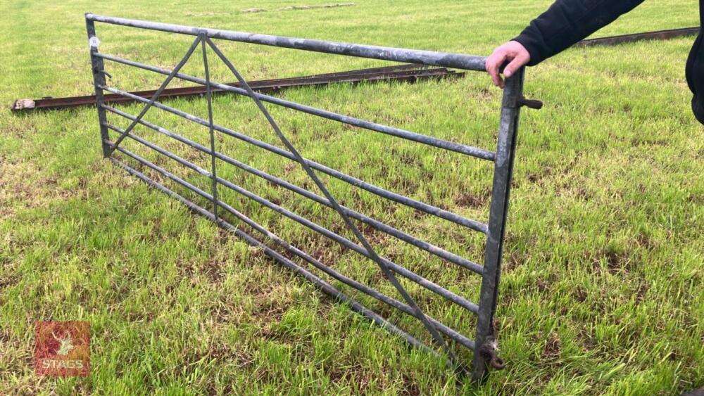 12' GALVANISED GATE