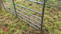 IAE 16' GALVANISED GATE - 5