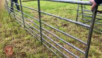 IAE 16' GALVANISED GATE - 6