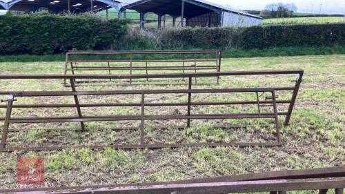 13' 10'' X 3' GATE