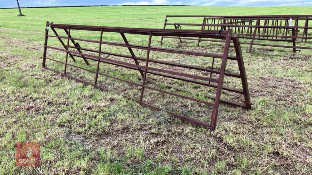 2 HEAVY DUTY GATES