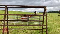 2 X 10' 10'' LONG METAL GATES - 3