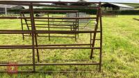 2 X 10' 10'' LONG METAL GATES - 9