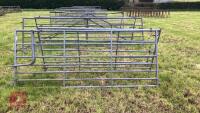 IAE 9' GALVANISED GATE