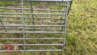 IAE 9' GALVANISED GATE - 2