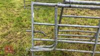 IAE 9' GALVANISED GATE - 8