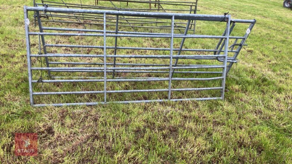 IAE 8' GALVANISED GATE