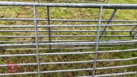 IAE 8' GALVANISED GATE - 3