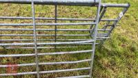 IAE 8' GALVANISED GATE - 4