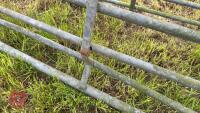 2 GALVANISED GATES - 5