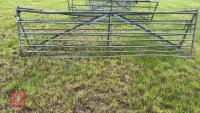 2 X 14' GALVANISED GATES