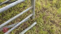 2 X 14' GALVANISED GATES - 3