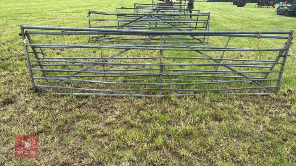 2 X 14' GALVANISED GATES