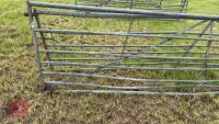 2 X 14' GALVANISED GATES - 3