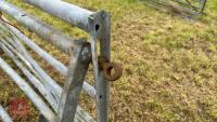 2 X 14' GALVANISED GATES - 6