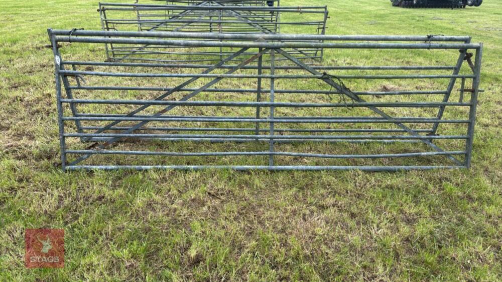 2 X 12' GALVANISED GATES