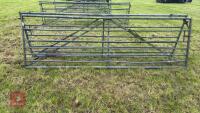 2 X 12' GALVANISED GATES