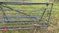 2 X 12' GALVANISED GATES - 8