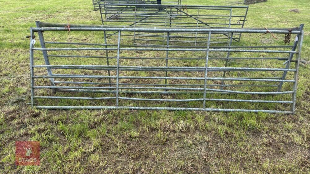 12' GALVANISED GATE