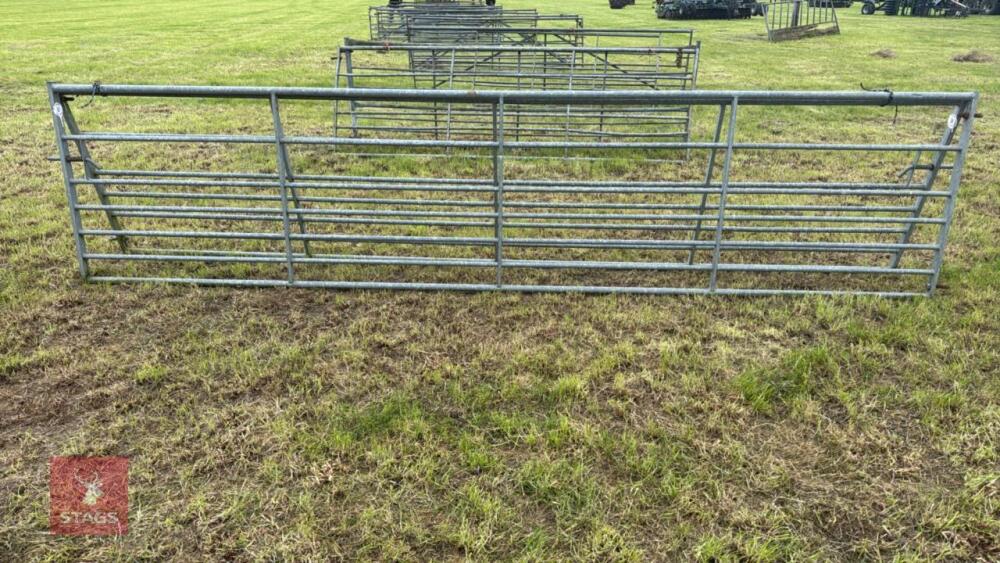 16' GALVANISED GATE
