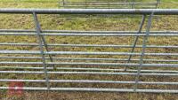 16' GALVANISED GATE - 5