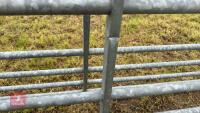16' GALVANISED GATE - 6