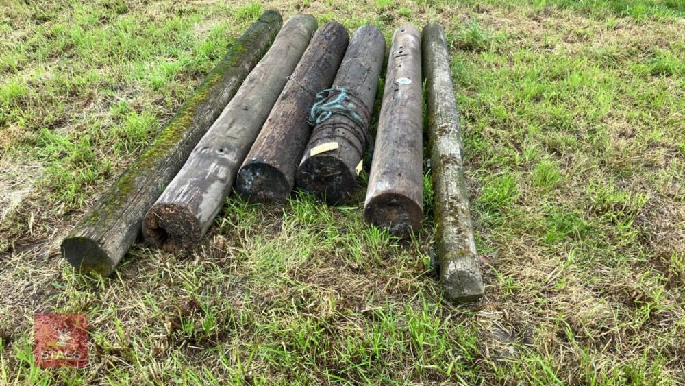 6 CUT TELEGRAPH POLES