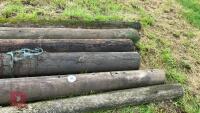 6 CUT TELEGRAPH POLES - 4