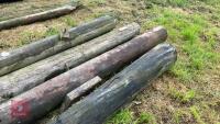 4 CUT TELEGRAPH POLES - 8