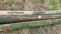 3 STRAINING POSTS - 3
