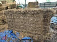 14 TON OF 120CM X 70CM MEADOW HAY - BIDS PER TON - 11