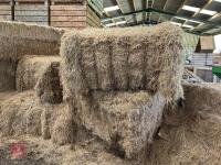 14 TON OF 120CM X 70CM MEADOW HAY - BIDS PER TON - 12