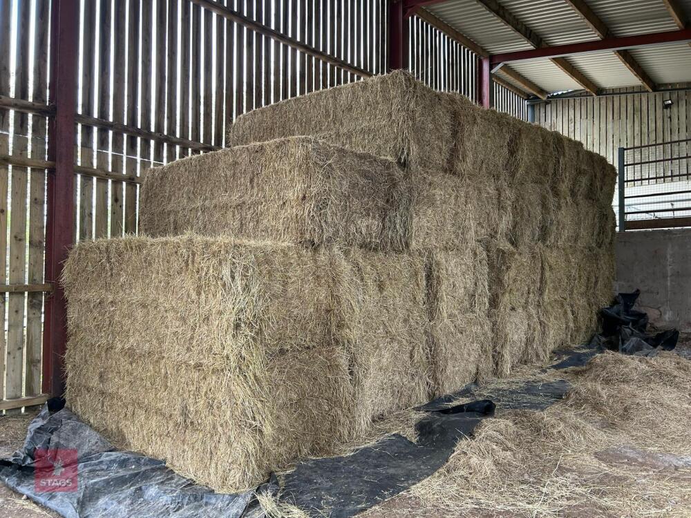 18.5 TON OF 2025 MEADOW HAY - BIDS PER TON