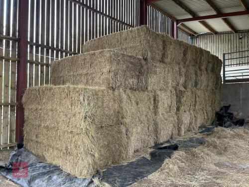 18.5 TON OF 2025 MEADOW HAY - BIDS PER TON