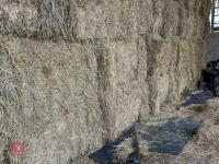 18.5 TON OF 2025 MEADOW HAY - BIDS PER TON - 5