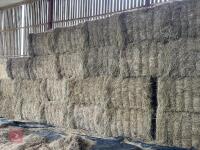 18.5 TON OF 2025 MEADOW HAY - BIDS PER TON - 7