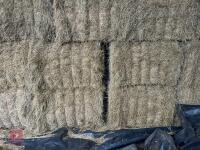 18.5 TON OF 2025 MEADOW HAY - BIDS PER TON - 8